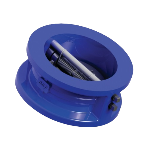 Non Return Valve