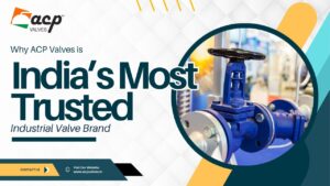 Industrial valve image by ACP Valves – one of the top valves manufacturers in India , known for trusted and high-performance flow control solutions.
